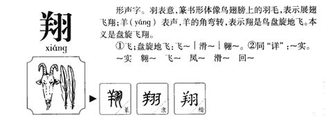 翔的意思名字|翔字取名的寓意